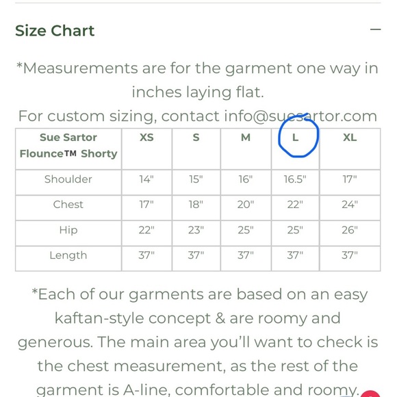 Anthropologie Sue Sartor Kaftan Shift Midi Dress Large Embroidered Bell Sleeve - Picture 15 of 15